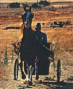 Aulrab driving in the country
