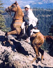 Aur Destiny,an Aulrab son, climbing Cougar Rock