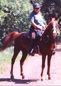 Carol Mingst on her trusty steed Shawn